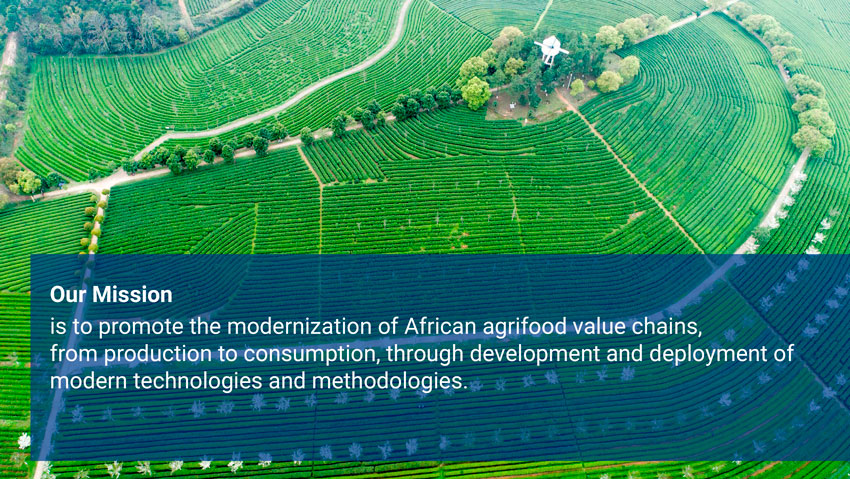 Image of green agricultural field 